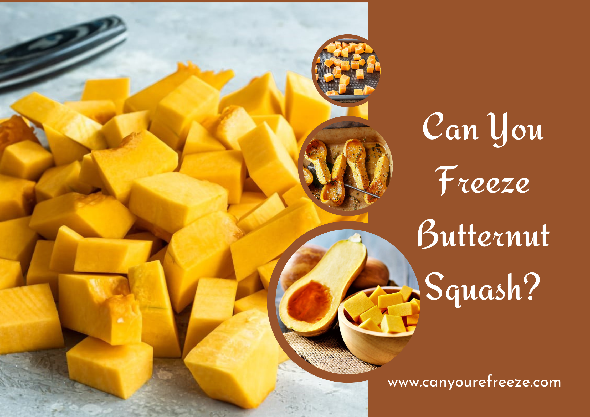 Can You Freeze Butternut Squash