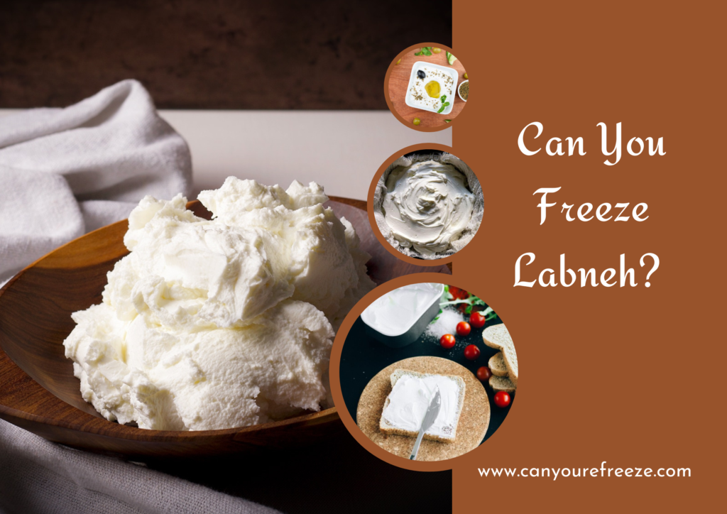 Can You Freeze Labneh