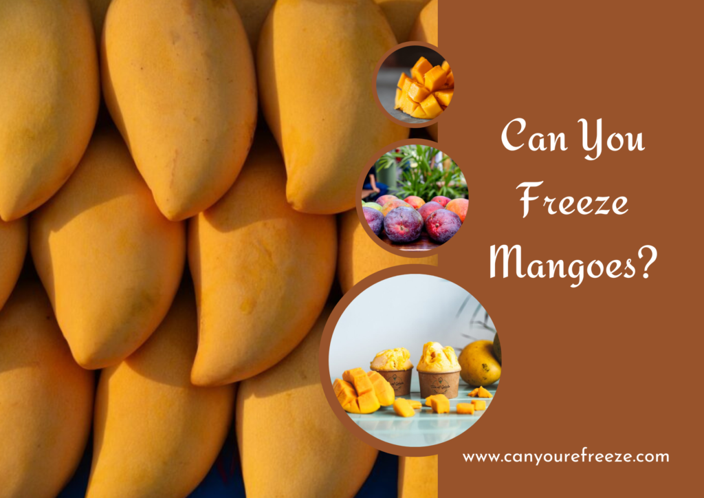 Can-You-Freeze-Mangoes