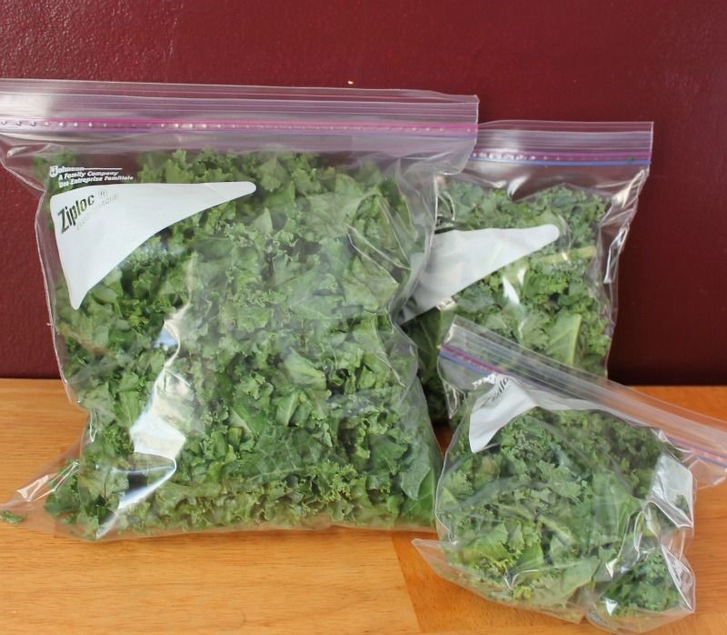 How To Freeze Blanched Kale In A Bunch