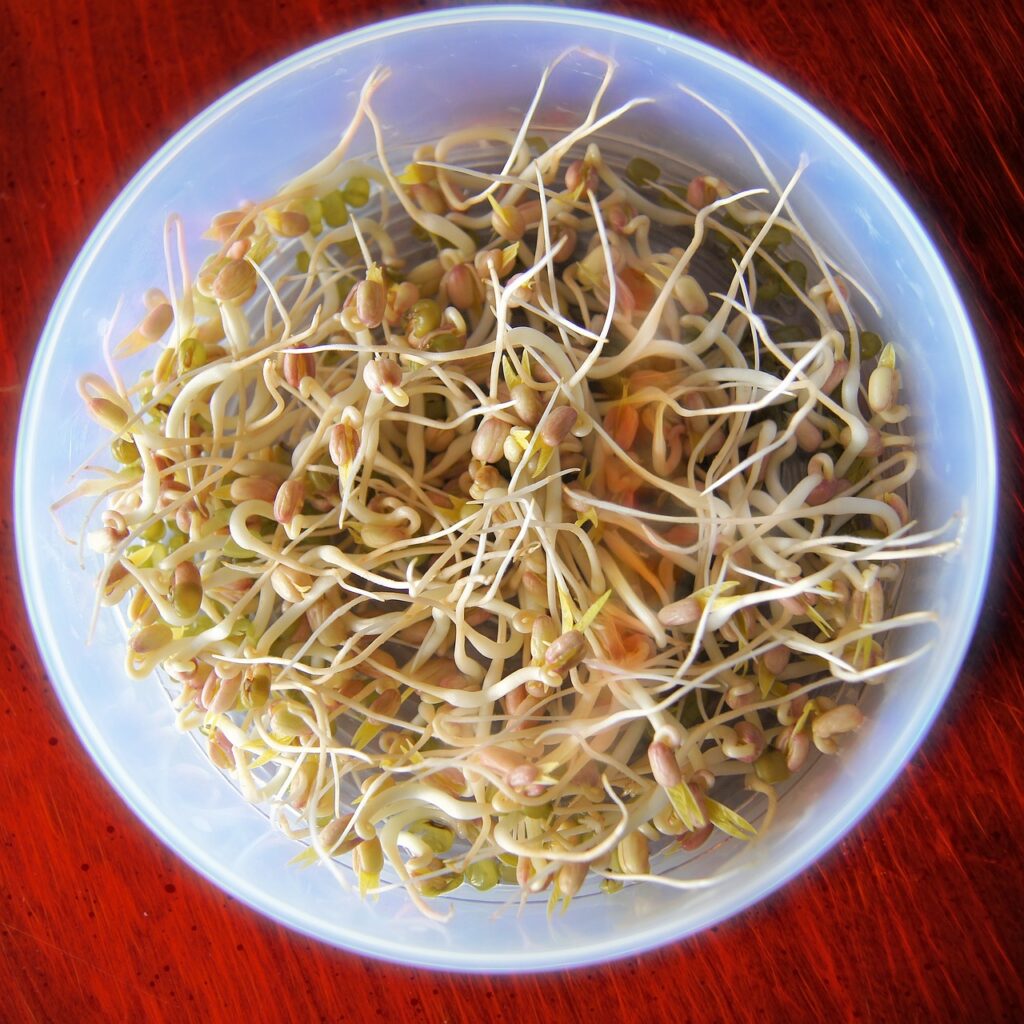 Can you freeze bean sprouts?