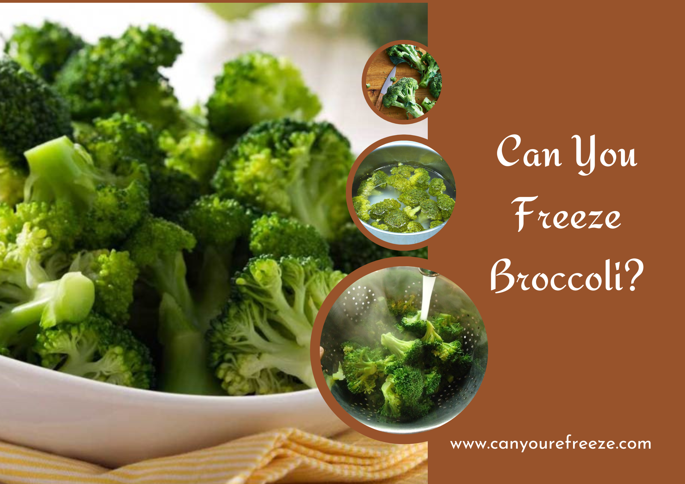 Can You Freeze Broccoli