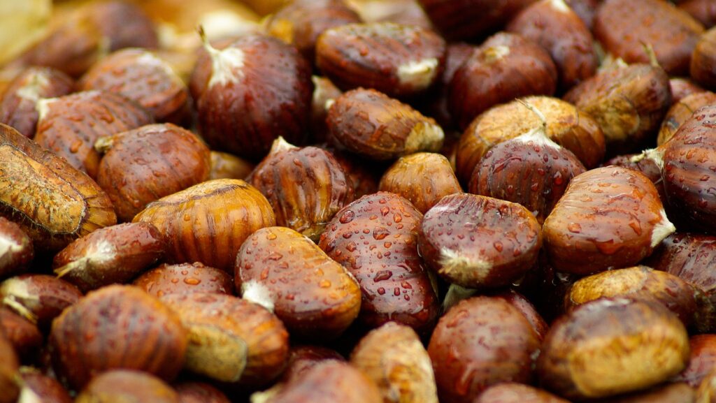 Can you freeze chestnuts puree?
