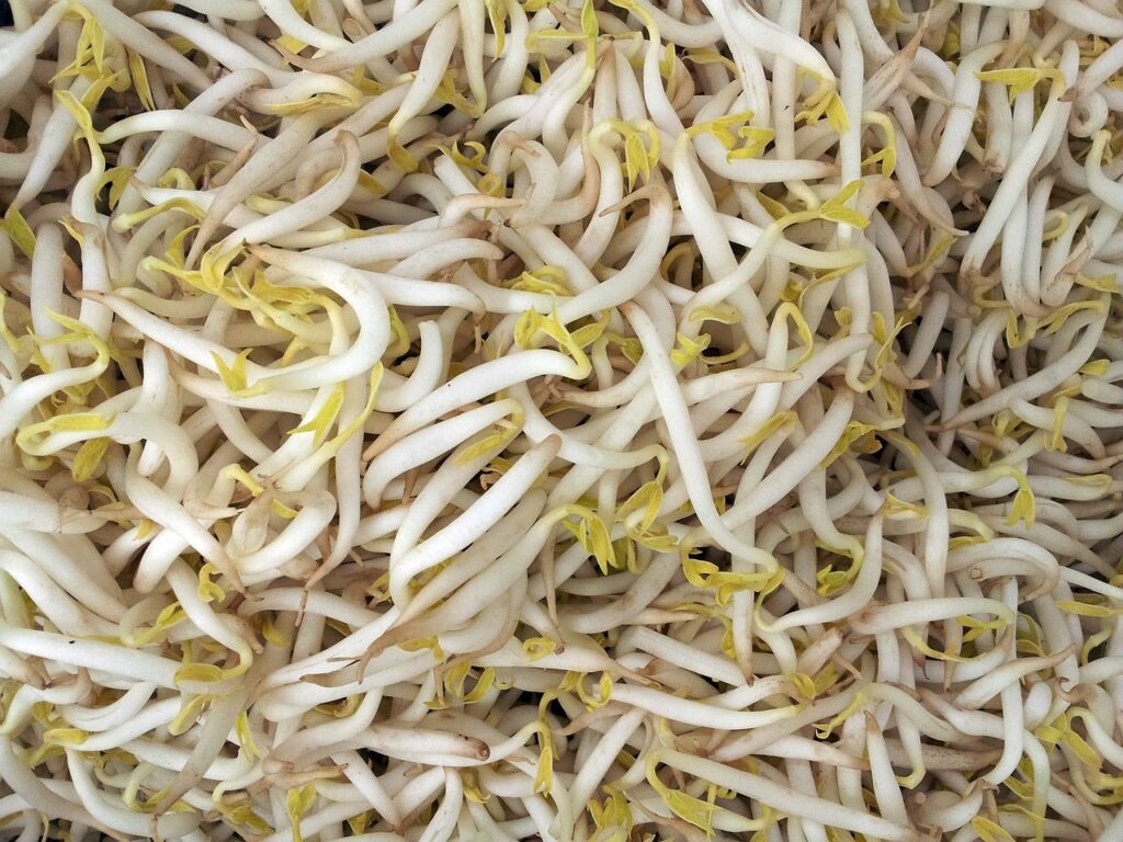 How to freeze bean sprouts?