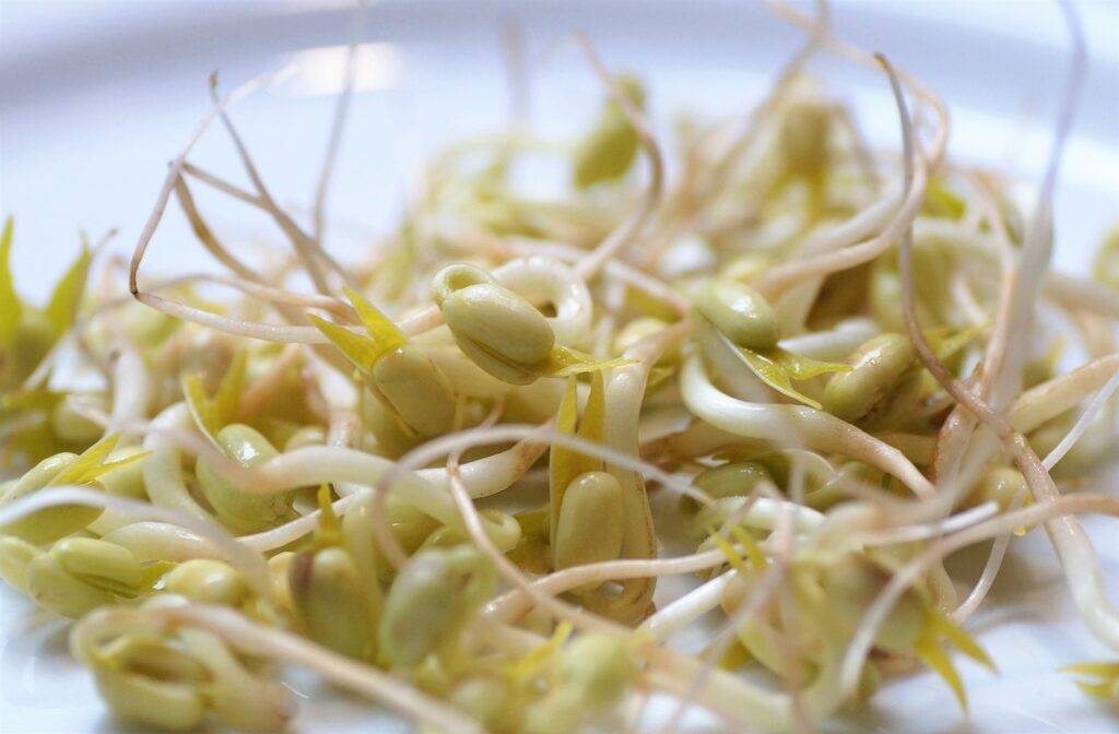 Tricks to freeze bean sprouts
