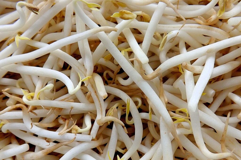 How to thaw frozen bean sprouts?