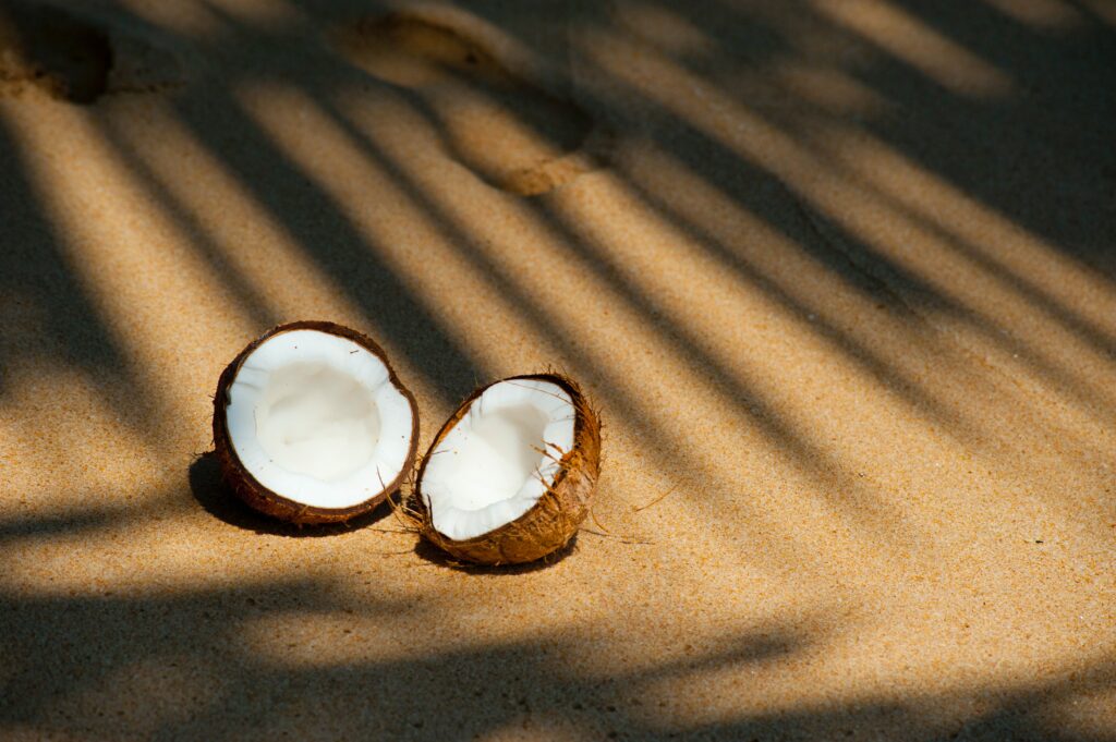 Can you freeze coconut milk?