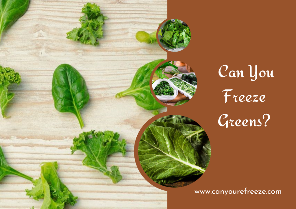 Can You Freeze Greens? Which Green Vegetables Freeze Well? Can You