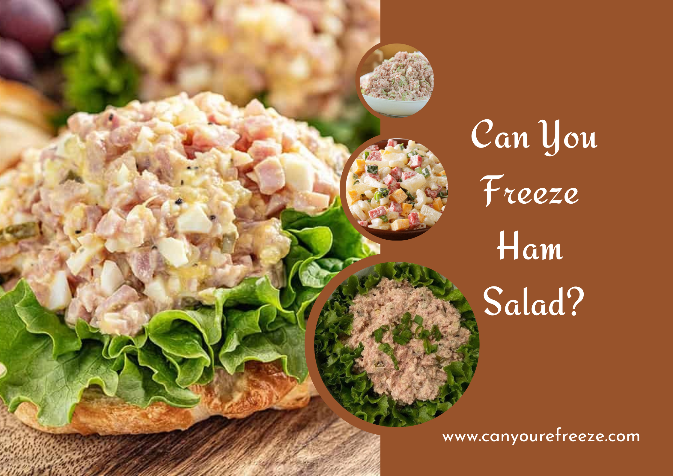 Can You Freeze Ham Salad Recommendations on freezing ham salad!
