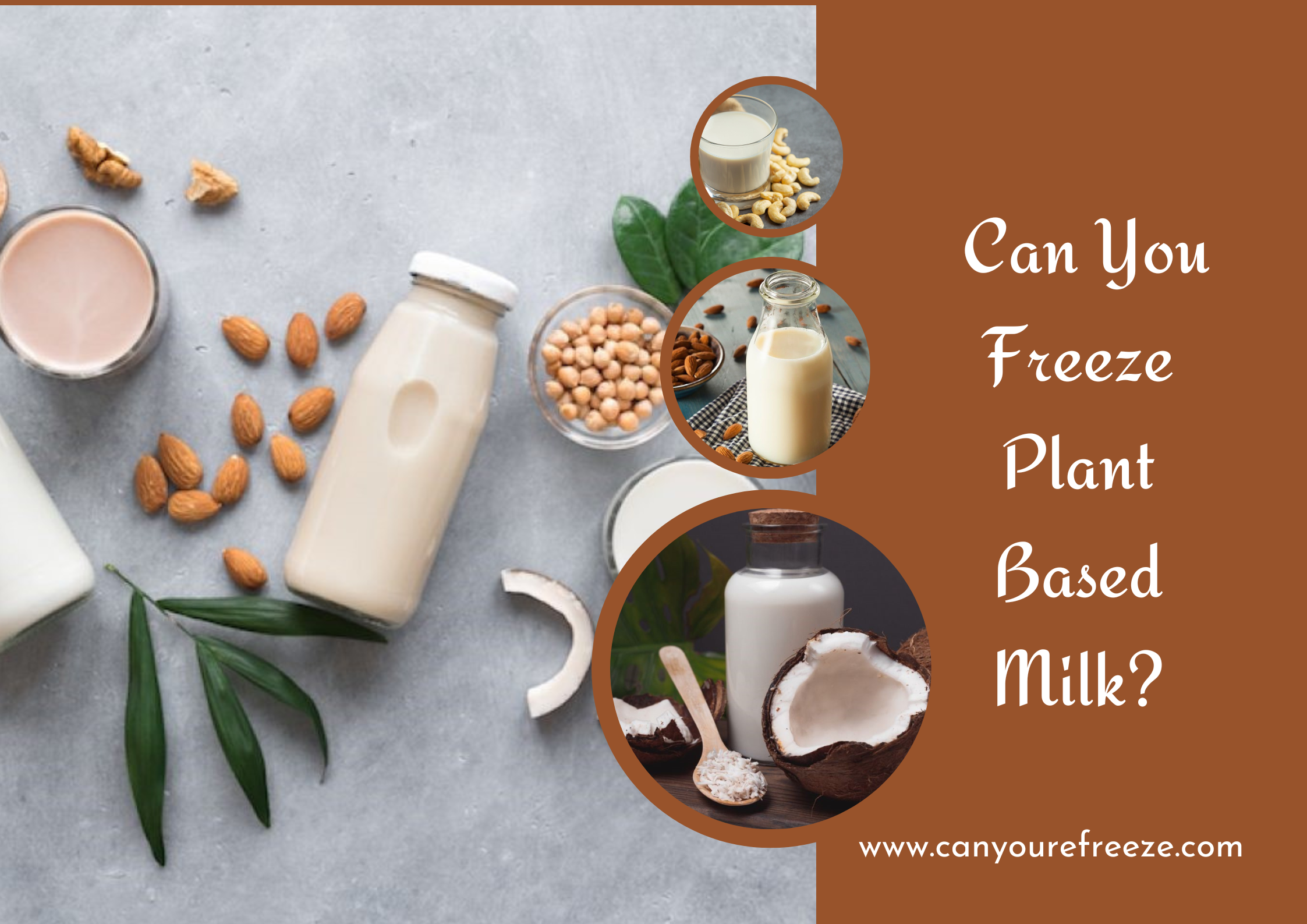 Can You Freeze Plant Based Milk
