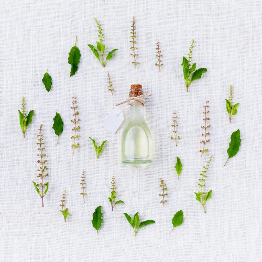 How long should you freeze herbs?