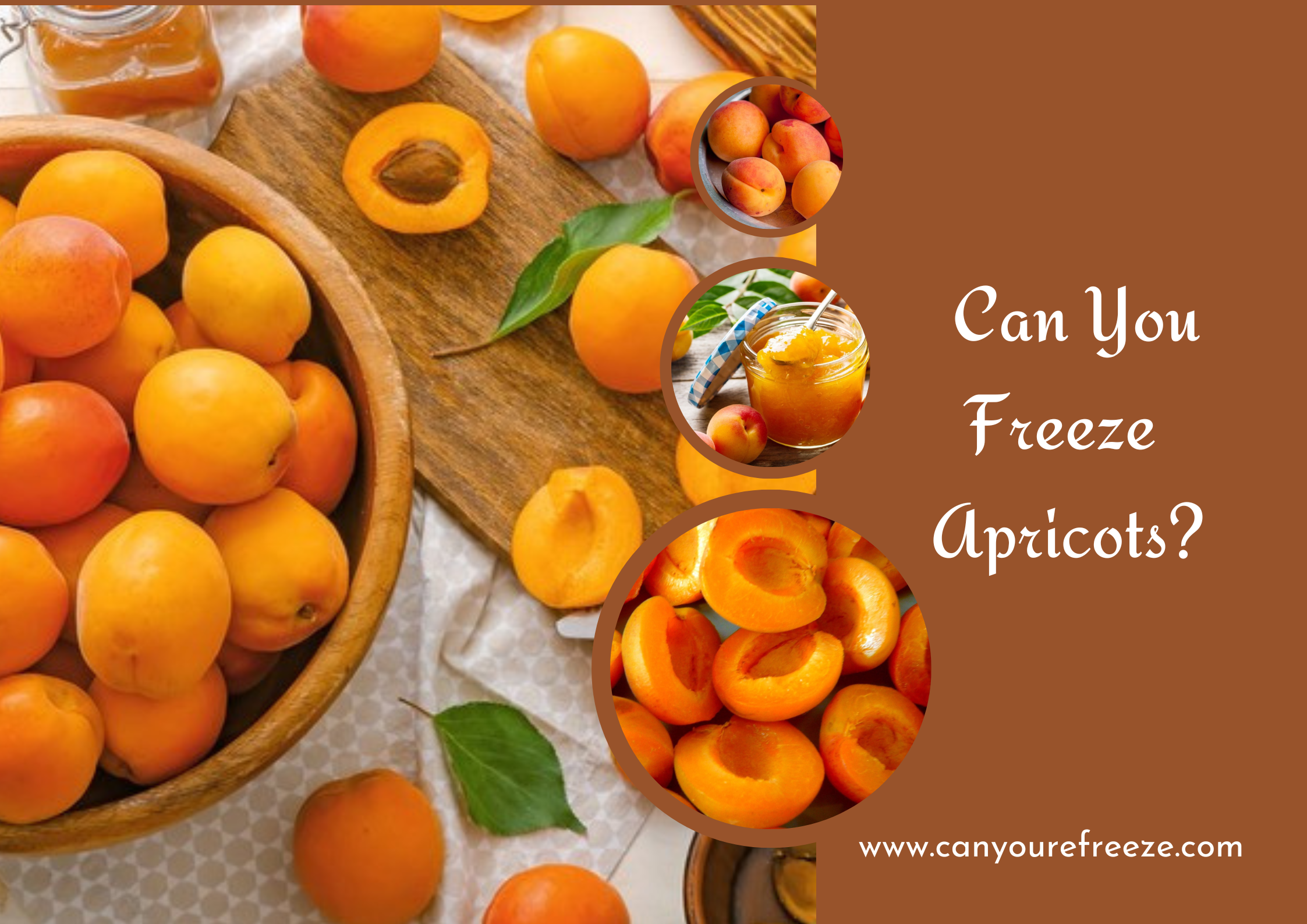 Can You Freeze Apricots