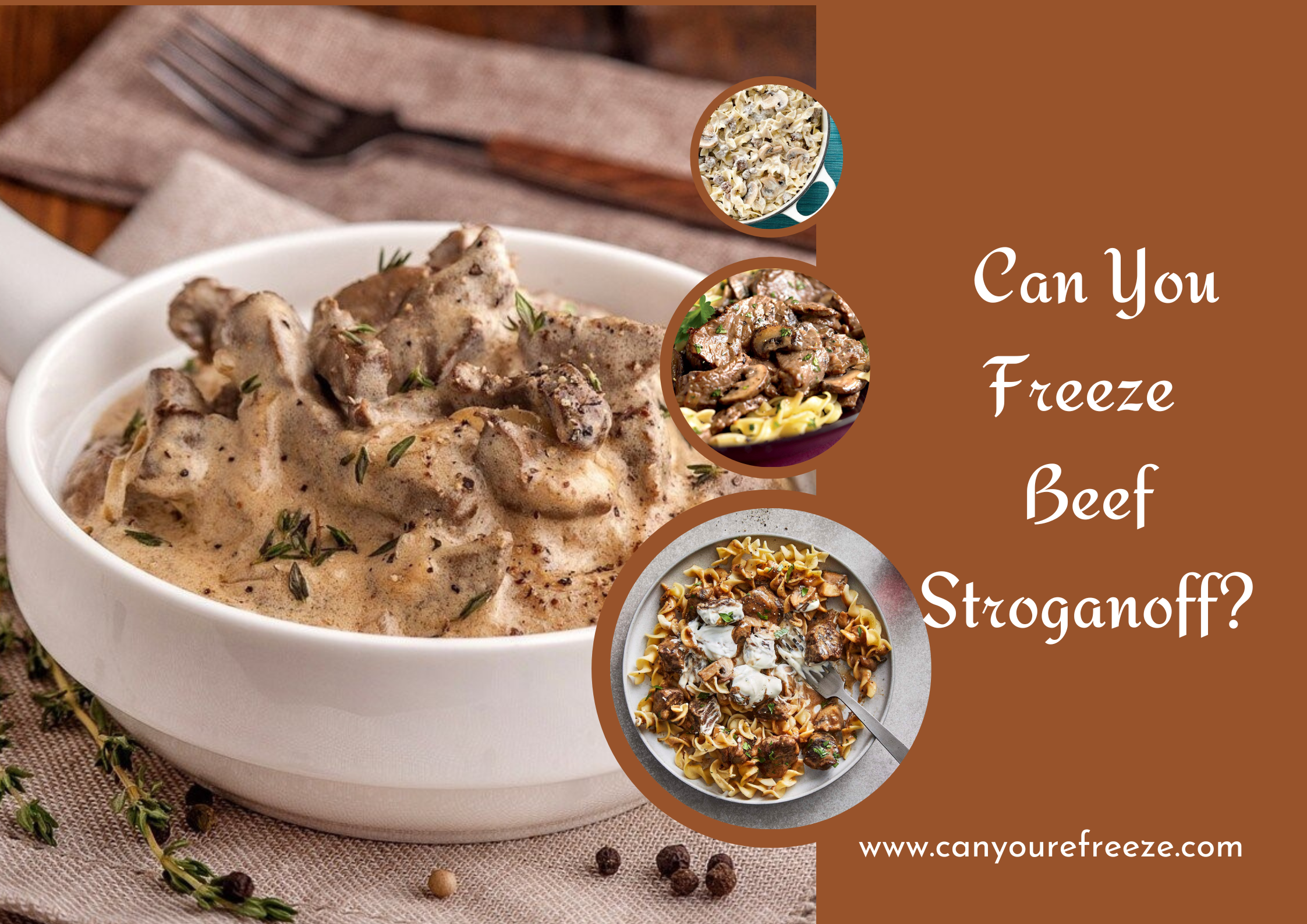 Can You Freeze Beef Stroganoff