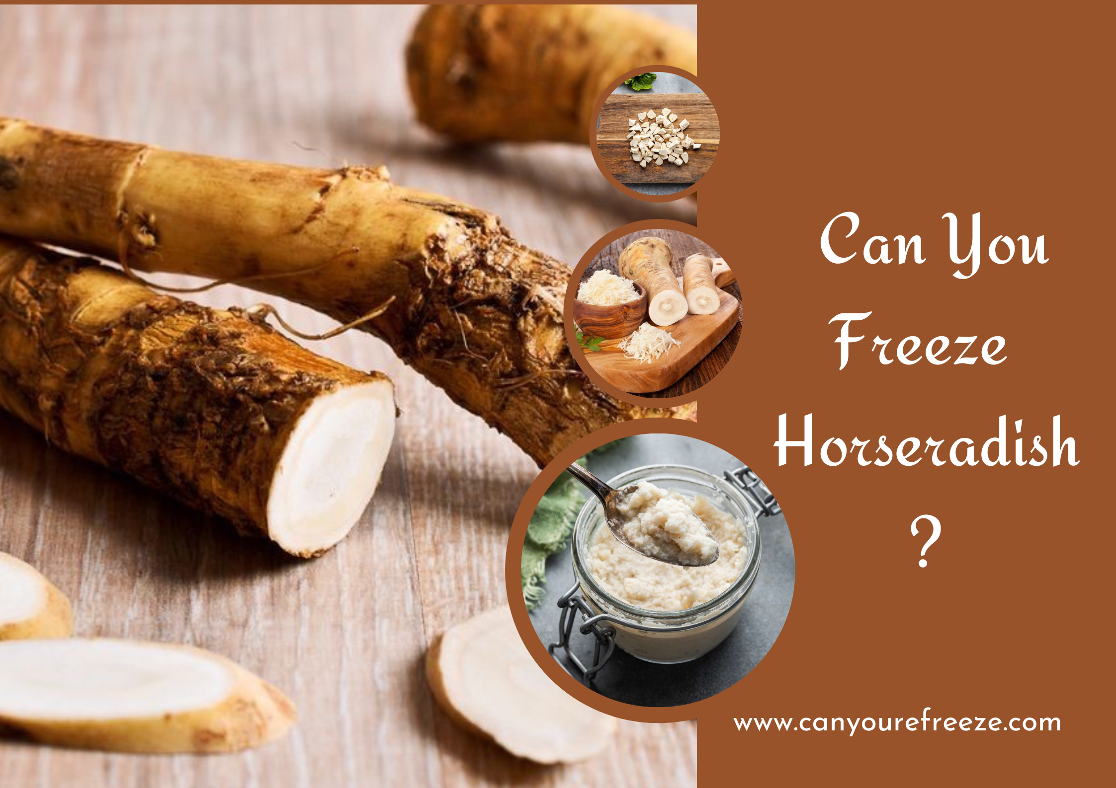 Can You Freeze Horseradish