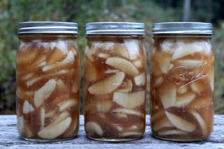 Can You Store Apple Pie Filling
