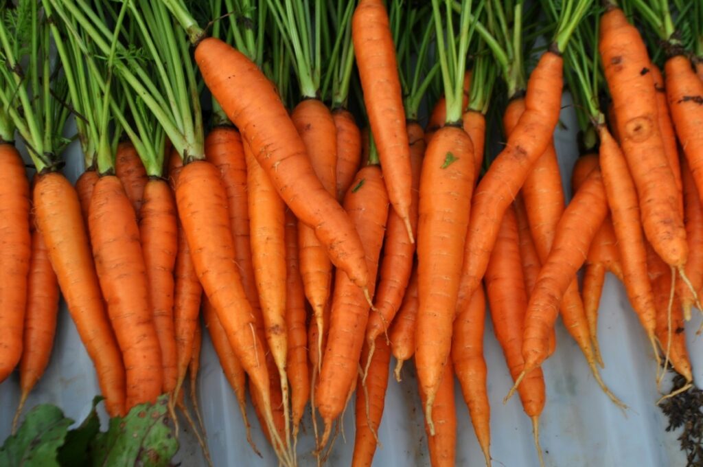 How Can You Freeze Raw Carrots