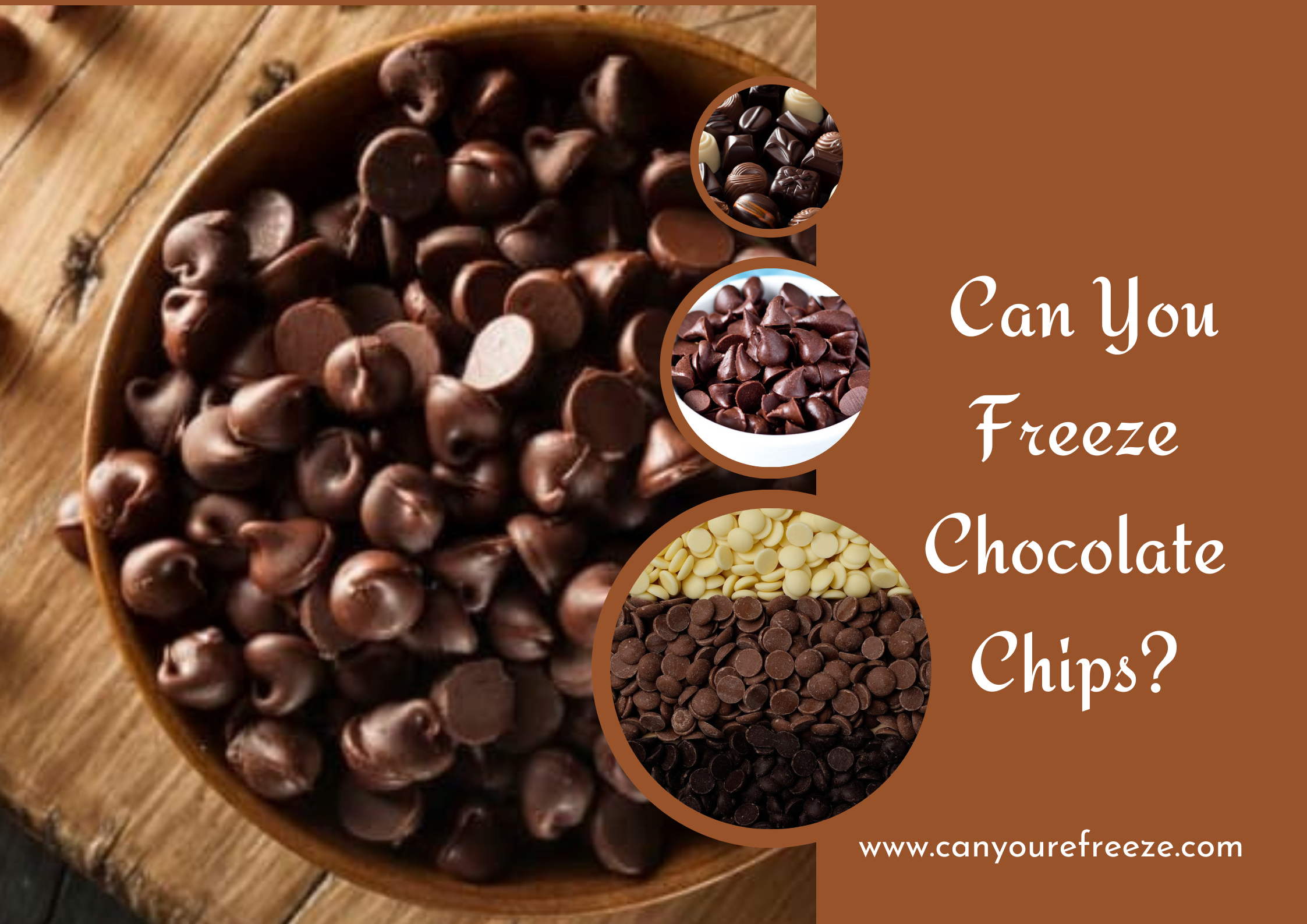 Can You Freeze Chocolate Chips