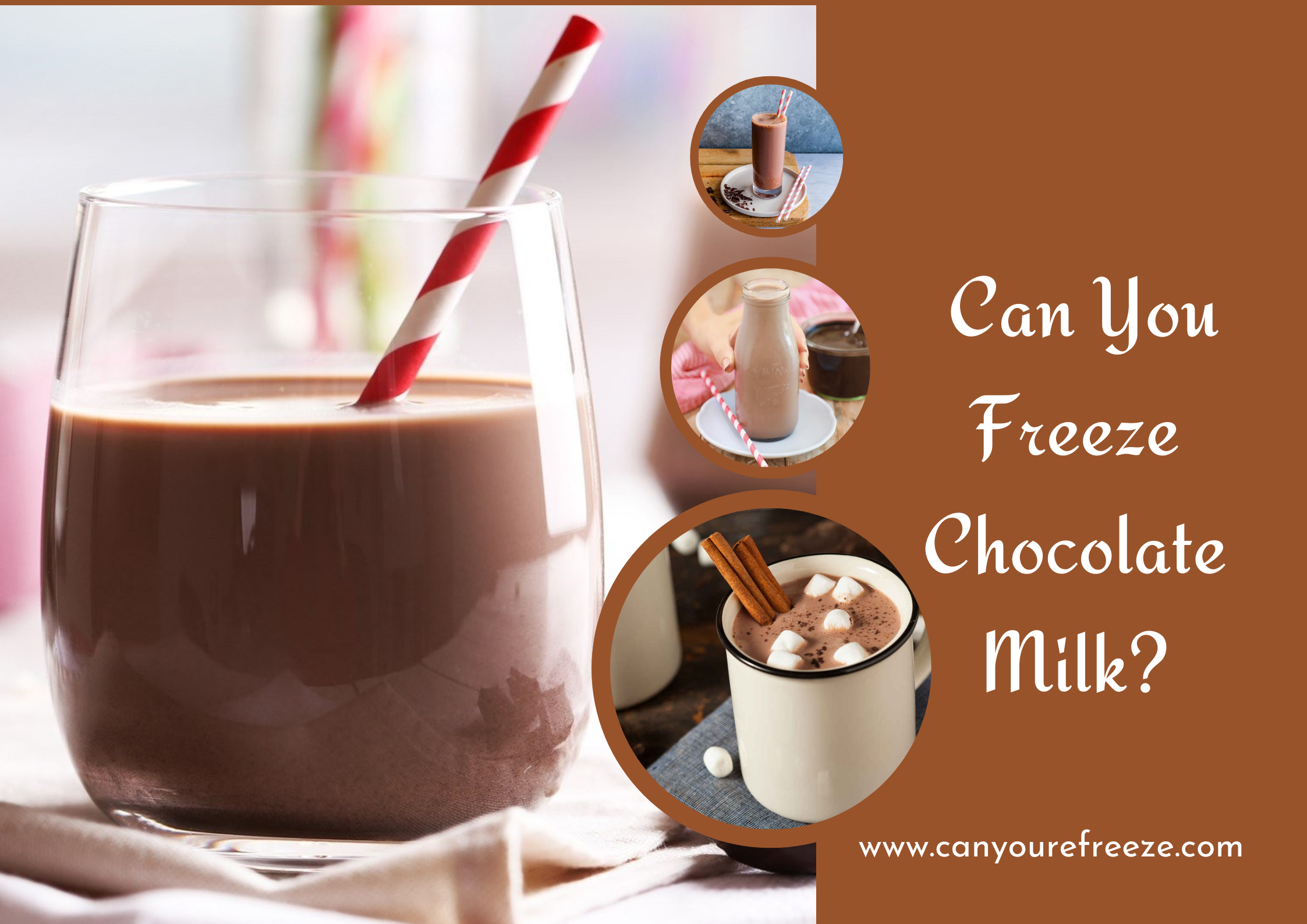 Can You Freeze Chocolate Milk