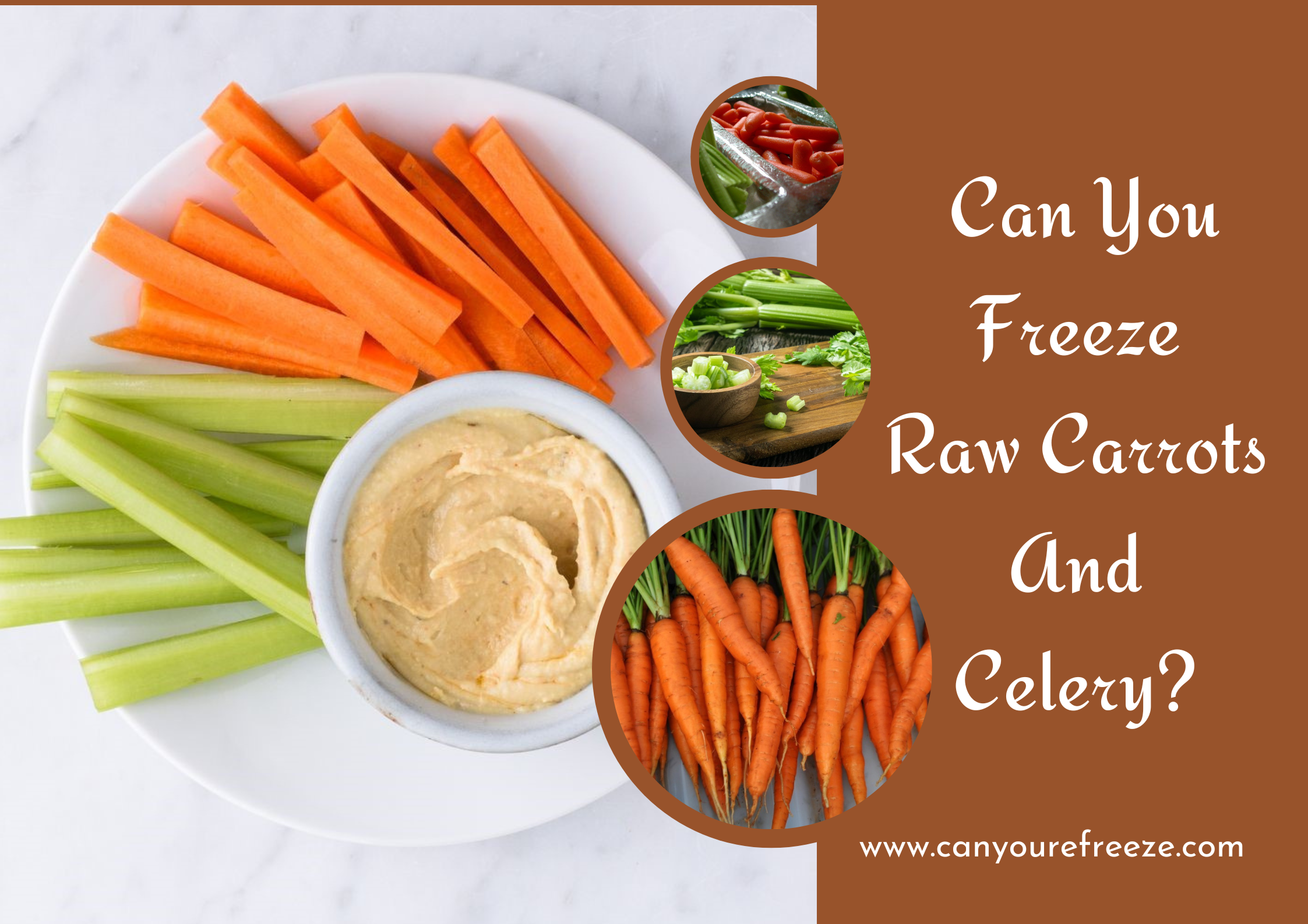 Can You Freeze Raw Carrots And Celery