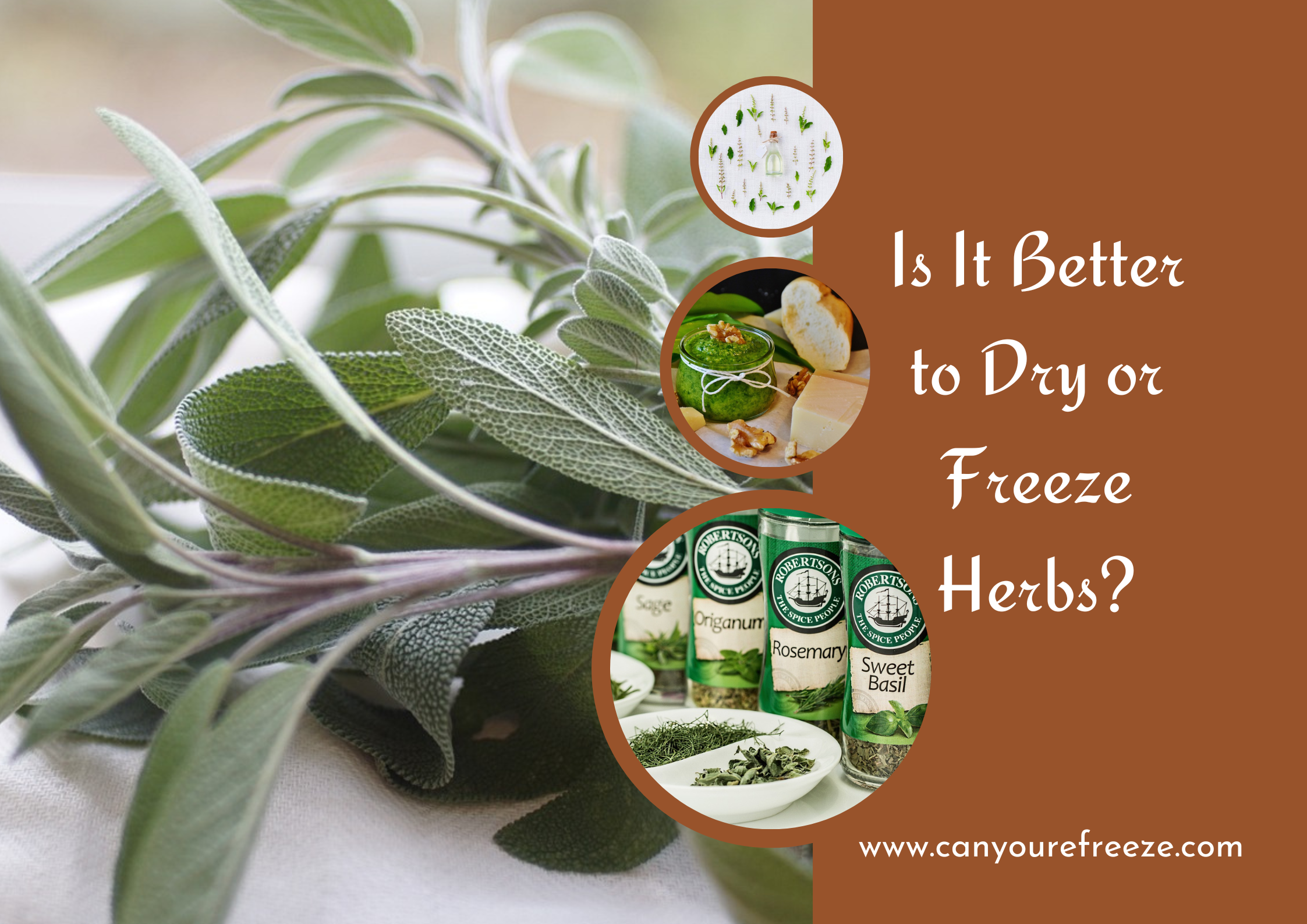 Is it better to dry or freeze herbs?