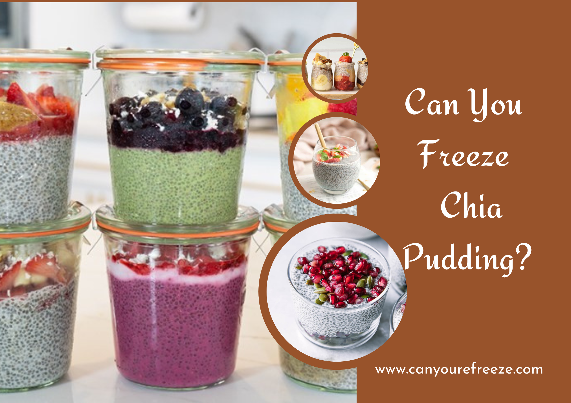 Can You Freeze Chia Pudding