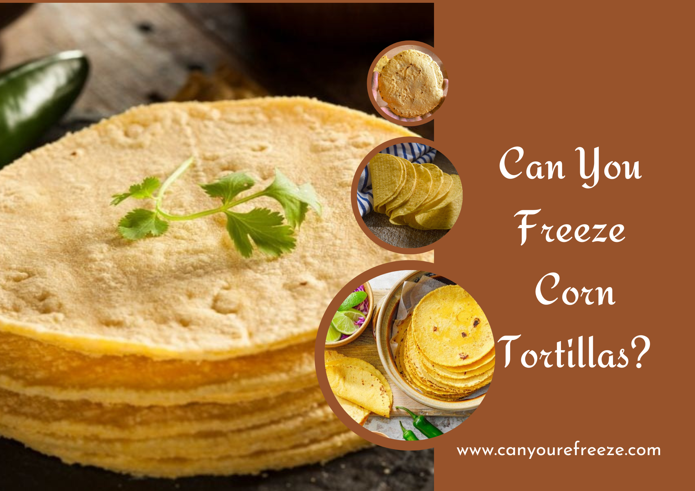 Can You Freeze Corn Tortillas