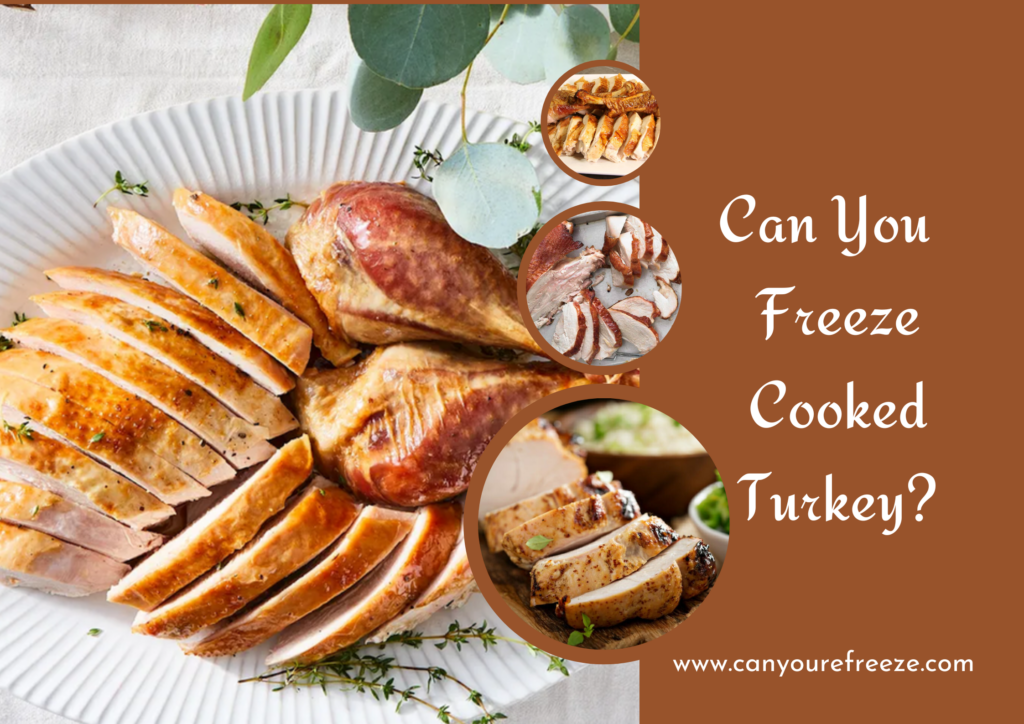 Can You Freeze Cooked Turkey? How To Freeze It? - Can You Refreeze