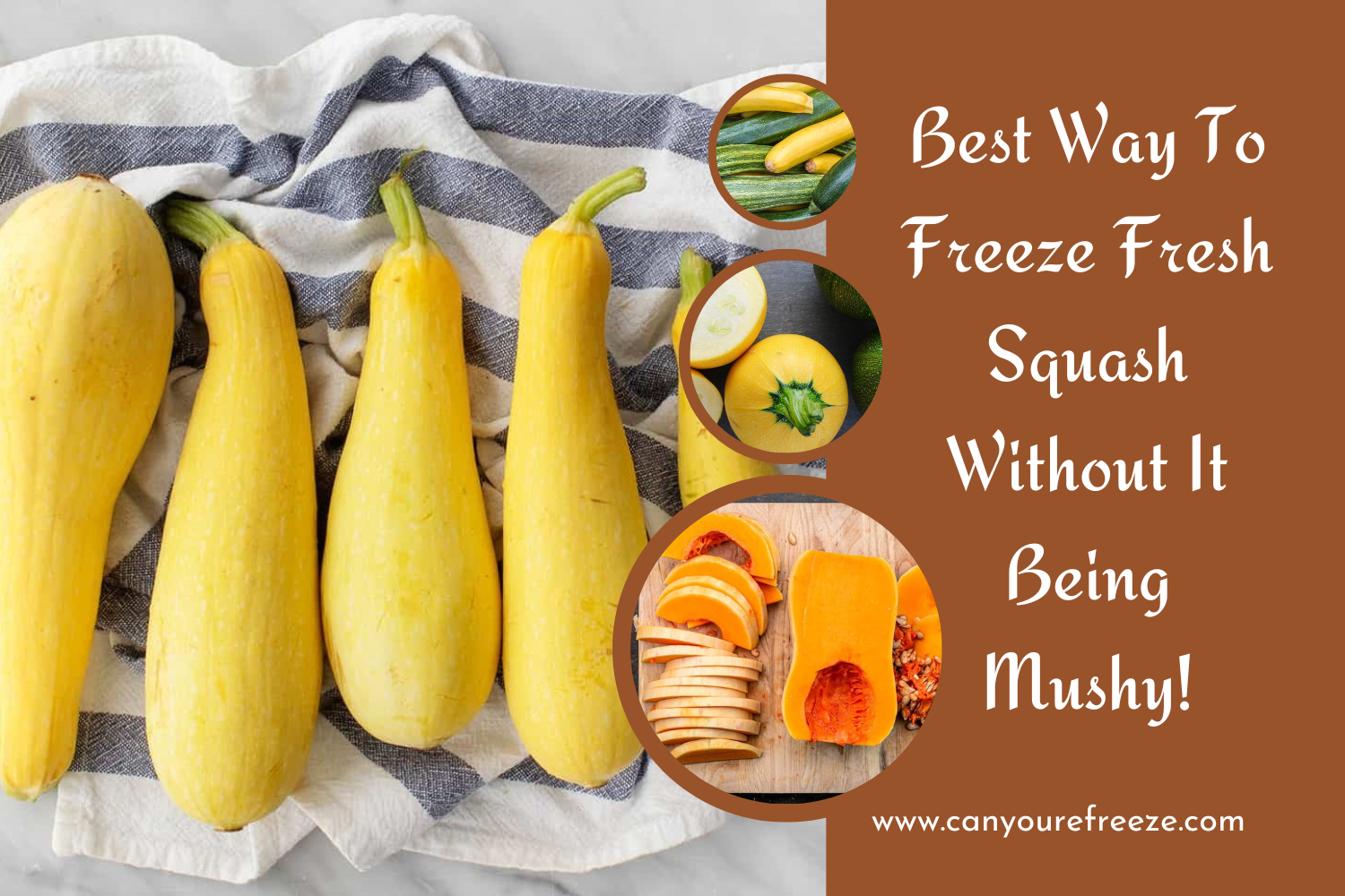 Best Way To Freeze Fresh Squash Without It Being Mushy!