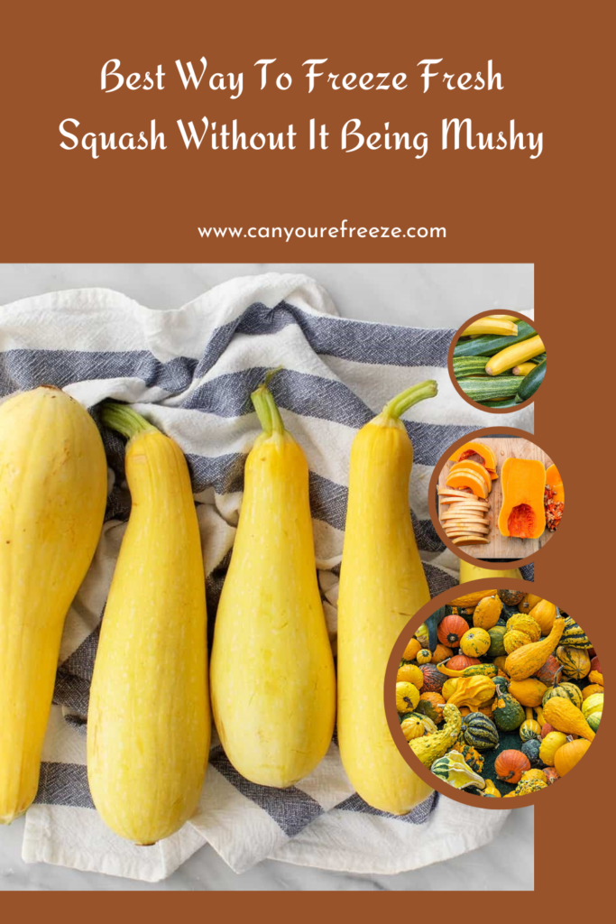 Best Way To Freeze Fresh Squash Without It Being Mushy