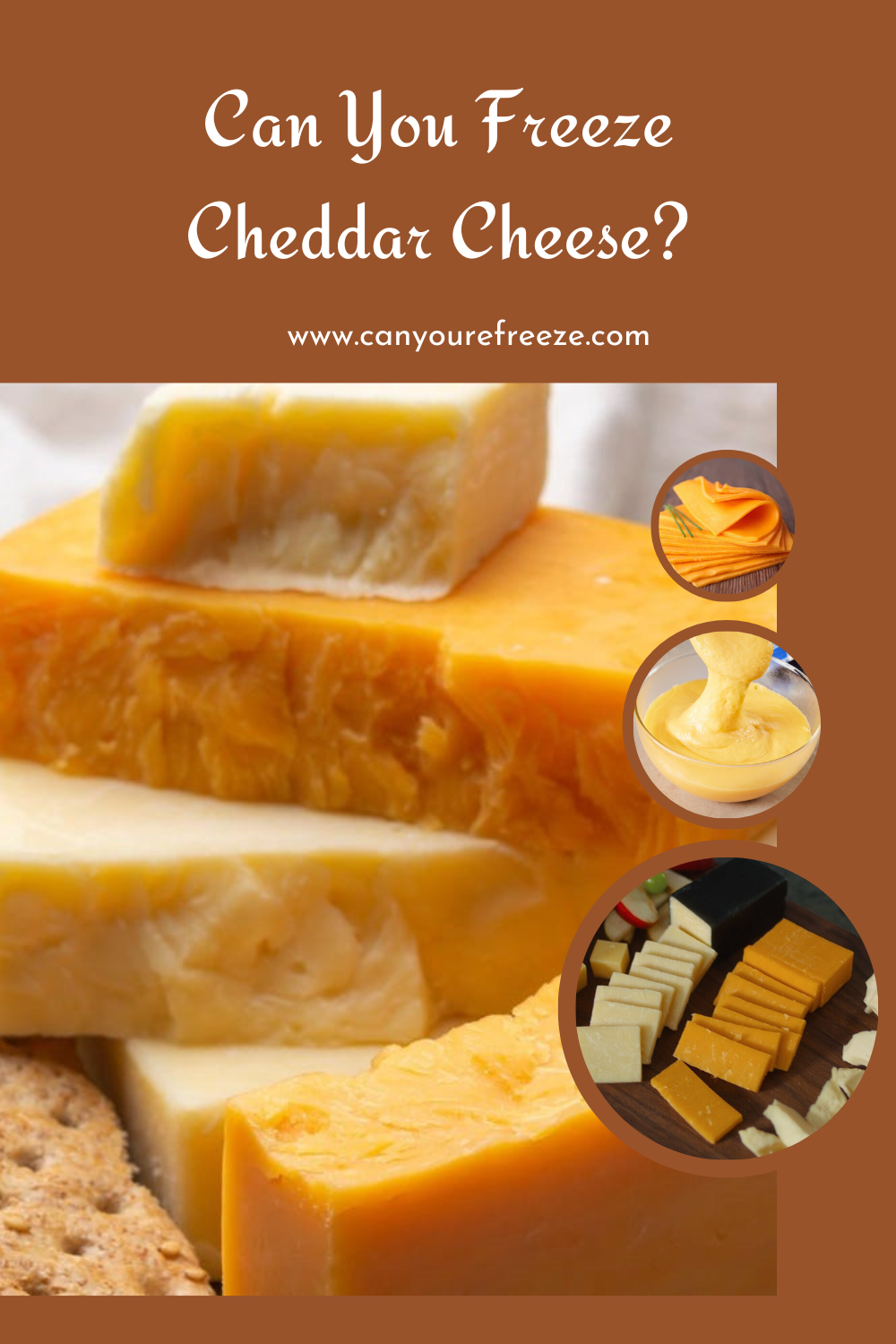 Can You Freeze Cheddar Cheese? How To Freeze Cheddar Cheese? Can You