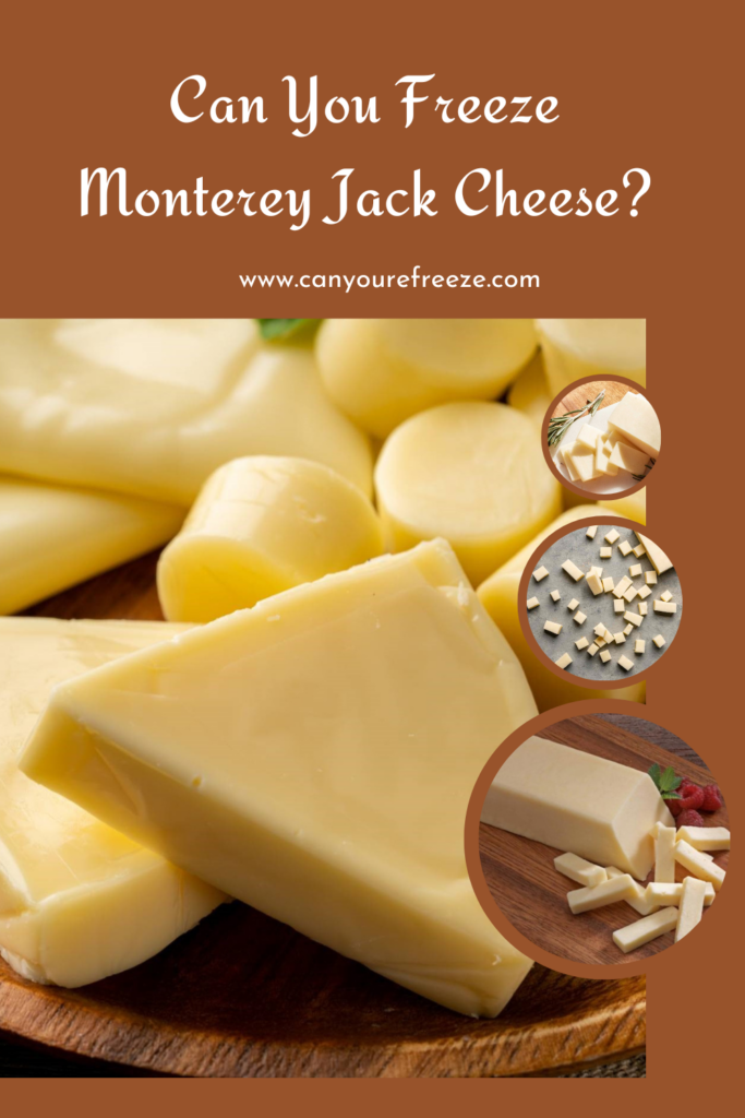 Can You Freeze Monterey Jack Cheese