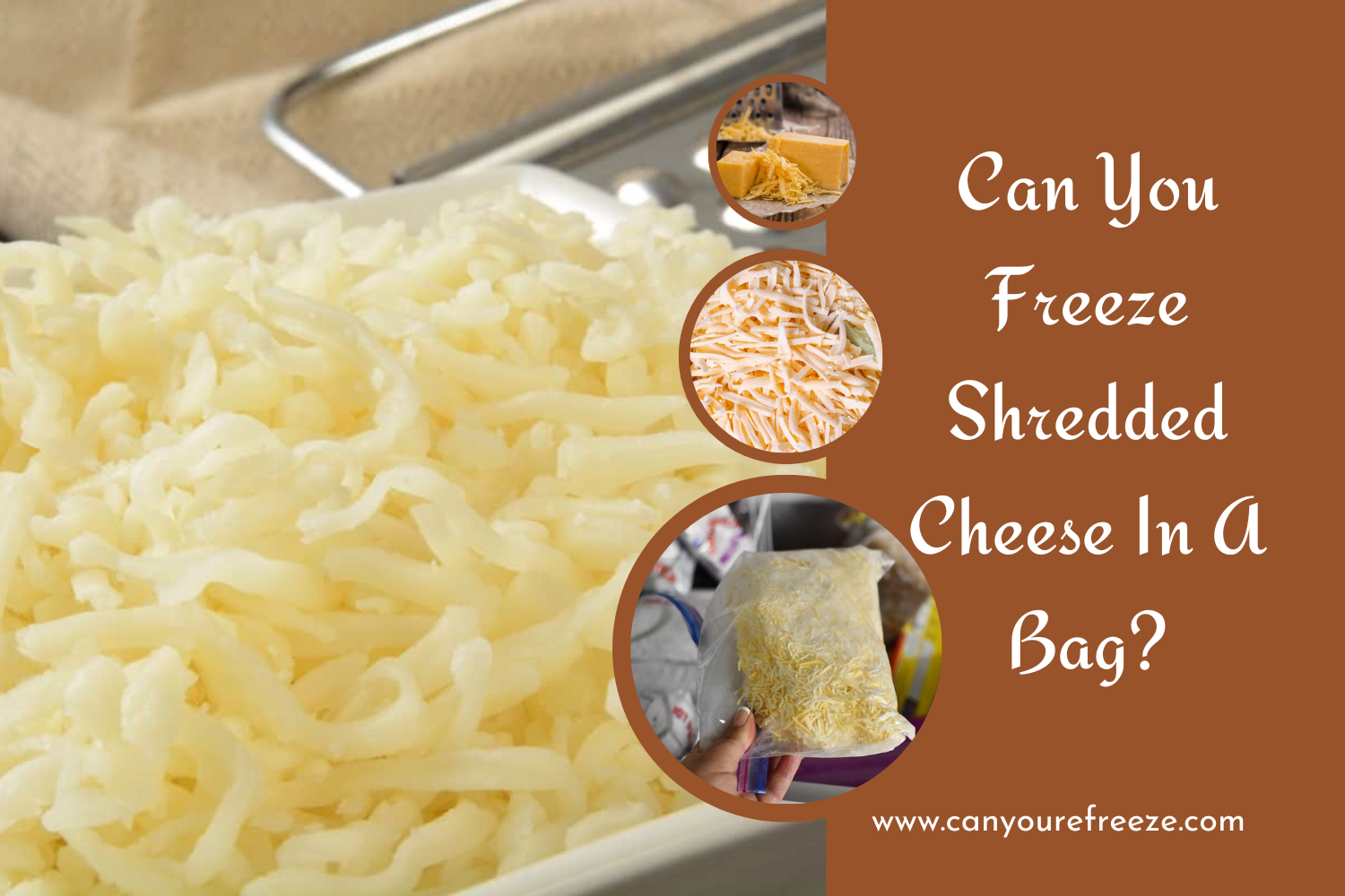 Can You Freeze Shredded Cheese In A Bag? Tips To Store Cheese! - Can ...