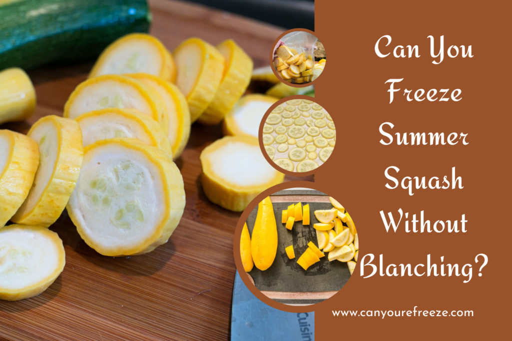 Can You Freeze Squash Without Blanching