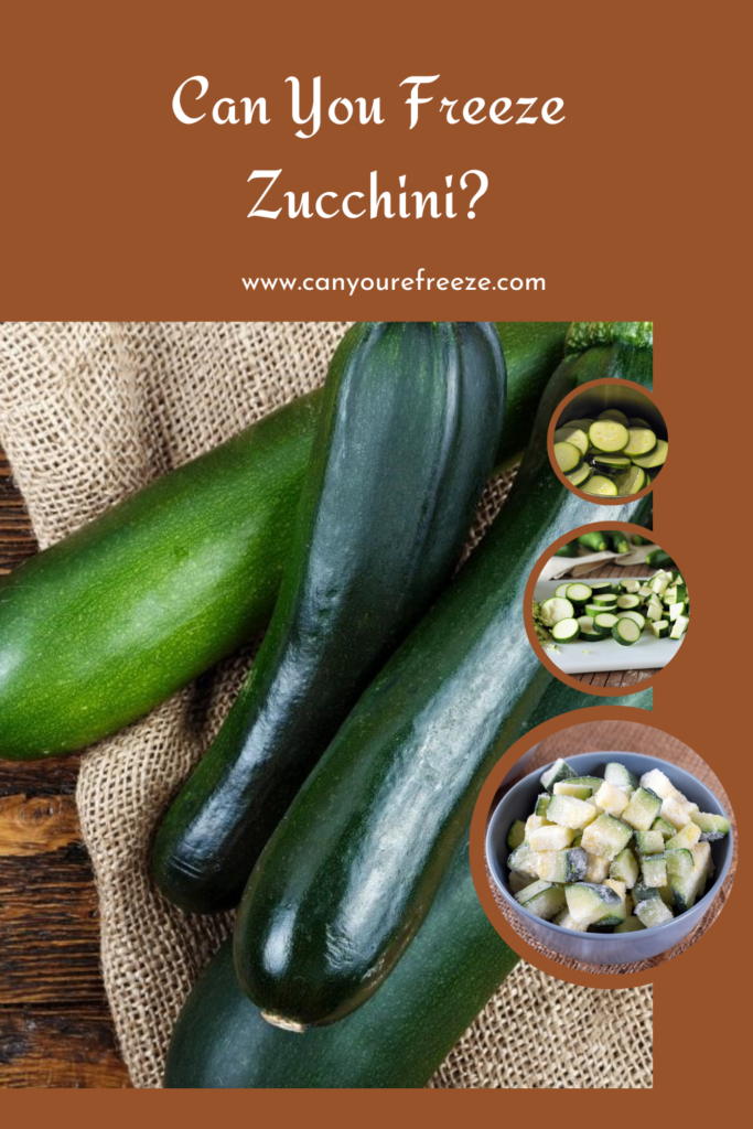 Can You Freeze Zucchini