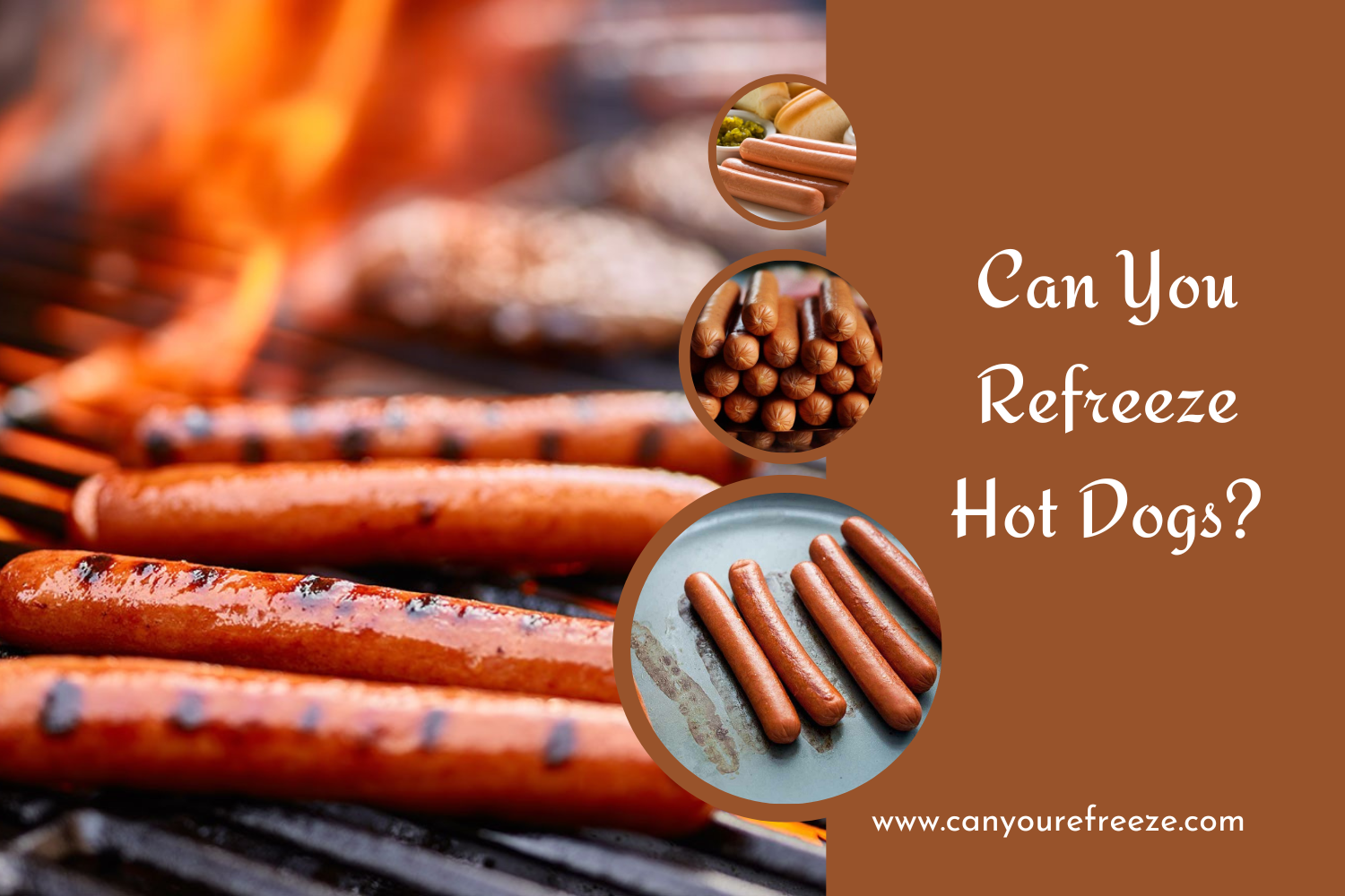 Can You Refreeze Hot Dogs