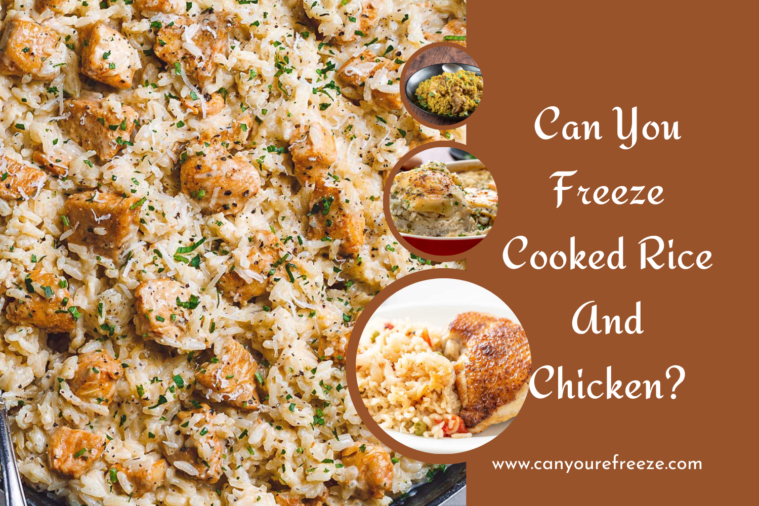 Can You Freeze Cooked Rice And Chicken