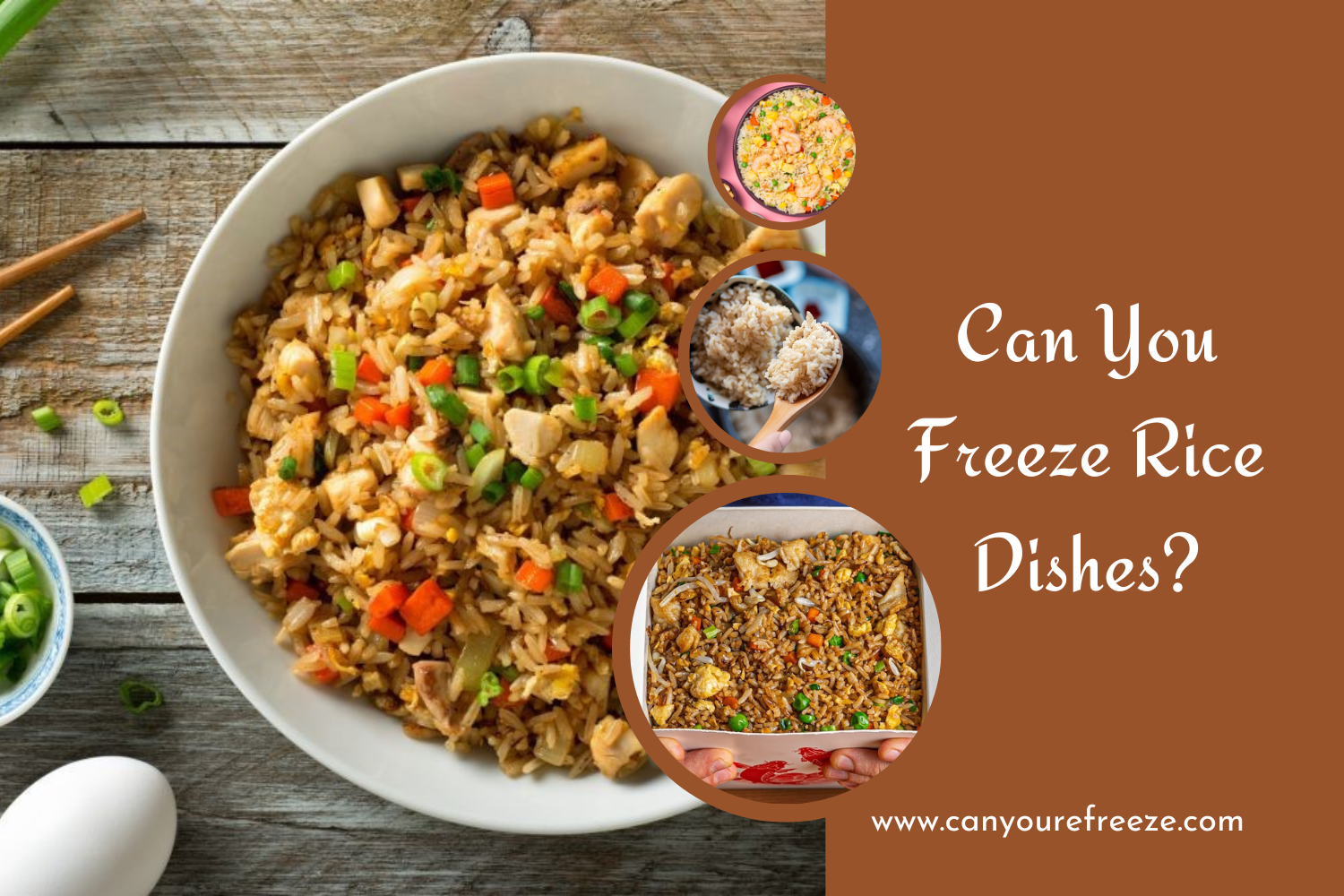 Can You Freeze Rice Dishes