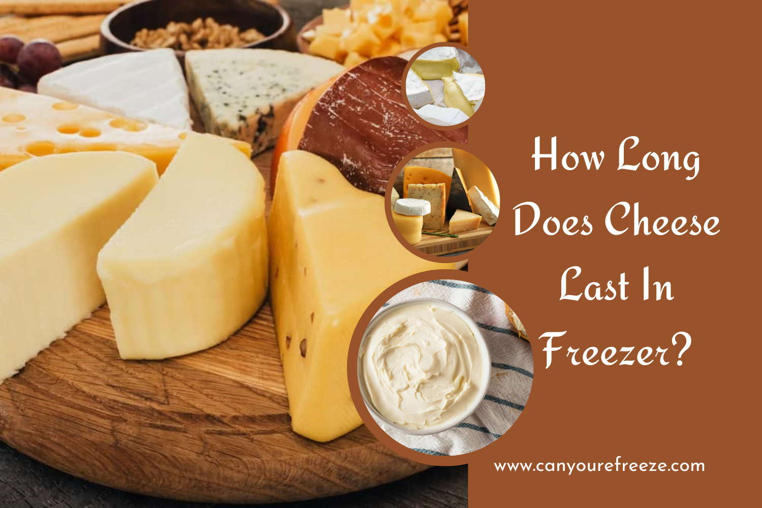How Long Does Cheese Last In Freezer