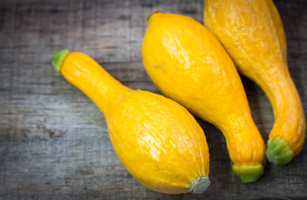 Why You Cannot Freeze Summer Squash Without Blanching