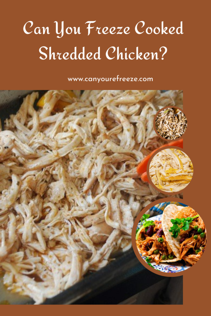 Can You Freeze Cooked Shredded Chicken