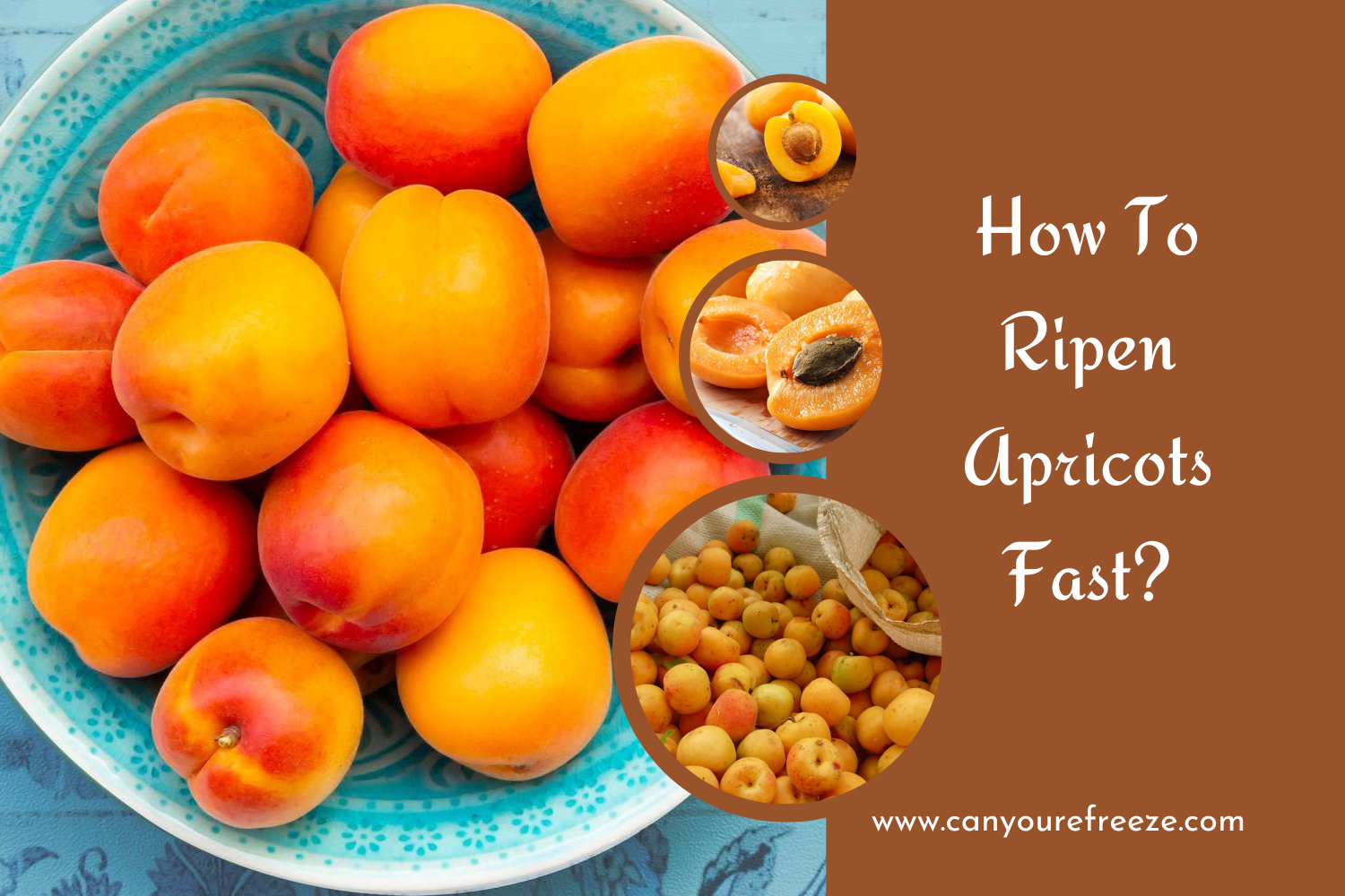 How To Ripen Apricots Fast
