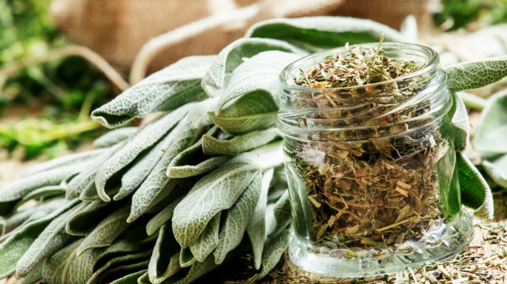 Can You Use Dried Herbs Instead Of Fresh Ones