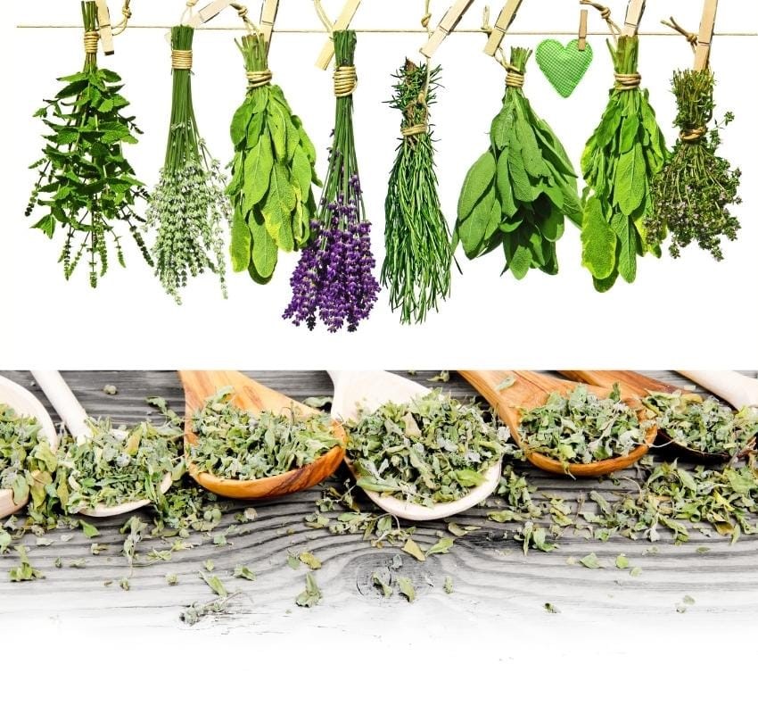 Converting Fresh Herbs To Dried