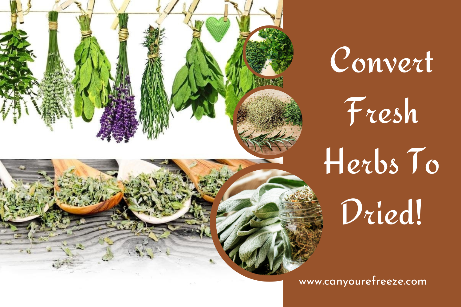 Convert Fresh Herbs To Dried