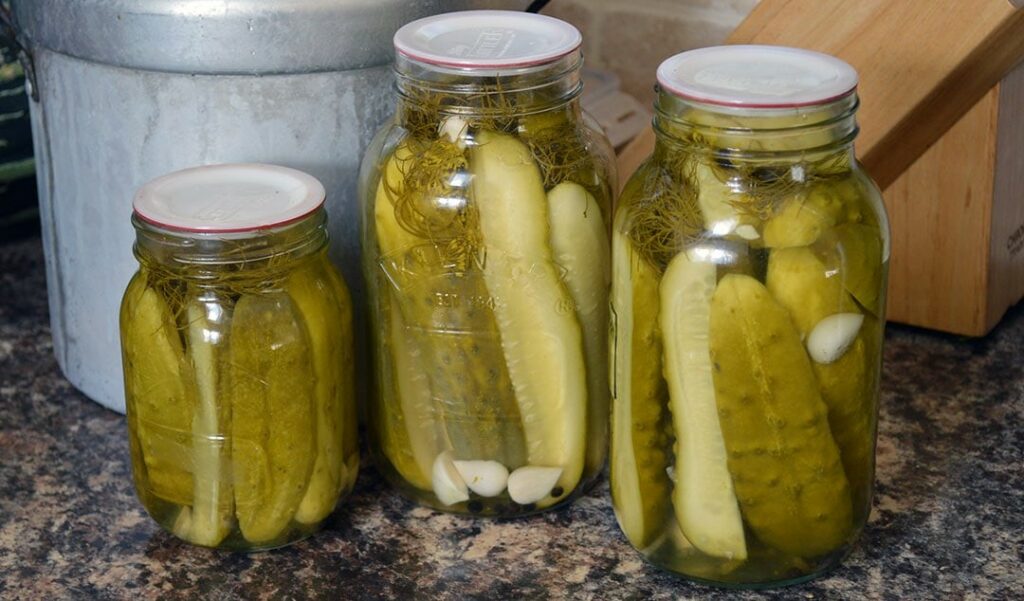 How To Water Bath Dill Pickles