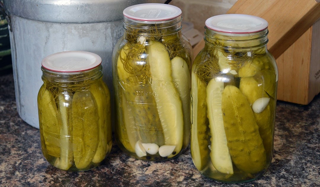 How To Water Bath Dill Pickles? Do You Have To Water Bath Pickles ...