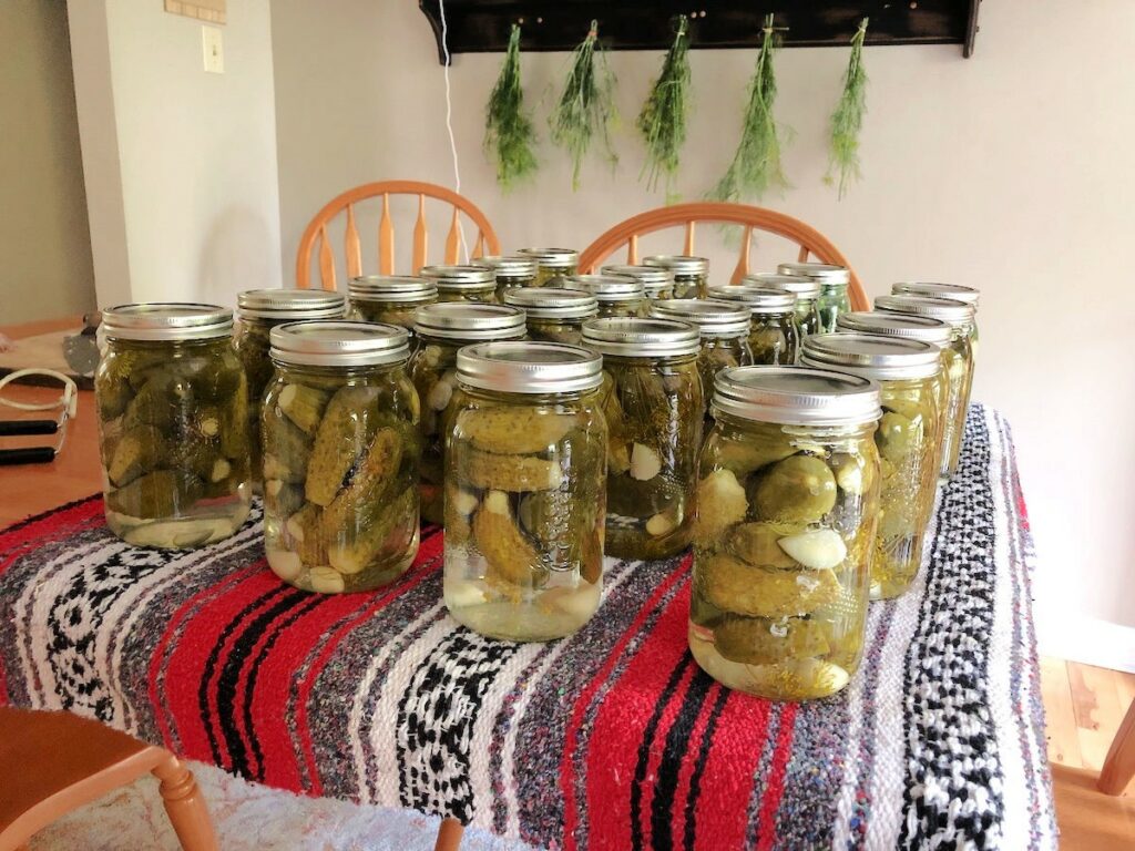 Tips To Preserve Dill Pickles